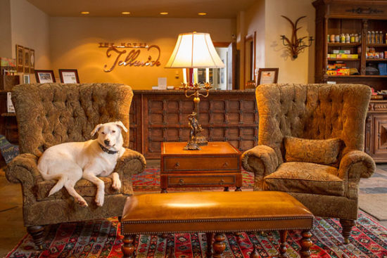 dog-friendly resorts for skiers in Telluride, CO. Hotel Telluride