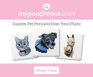 Hand painted pet portraits that are beautiful and affordable; order here.