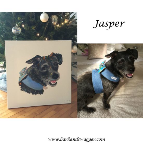 Hand painted pet portraits that are beautiful and affordable; our Jasper pic next to his portrait.