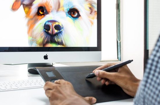 Hand painted pet portraits that are beautiful and affordable; the artist at work on a digital portrait.