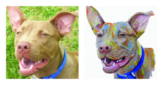Hand painted pet portraits that are beautiful and affordable; a Pitbull next to his portrait.