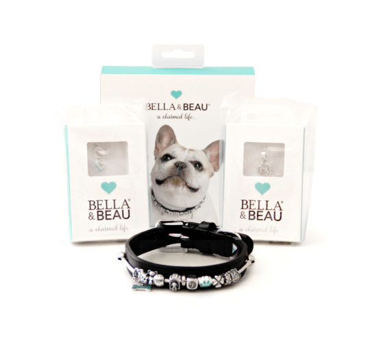 Bead charm bracelet meets dog collar; Bella & Beau do it. A product shot with Jasper's own charm collar. 