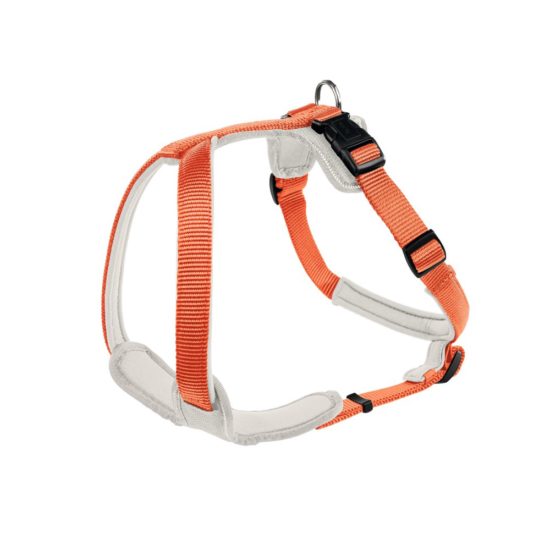 Designer dog harness; neoprene dog harness in tangerine orange and white. 