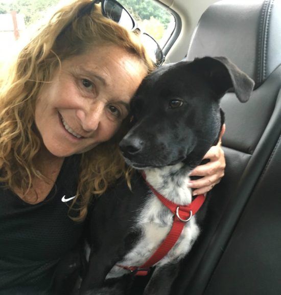 Traveling to New York City with a dog; me and mom's friend, Barbara and her dog, Lexi. 