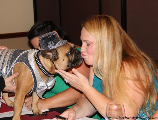 Designer dog fashions big night at the Fabulous Cotillion. Here, judge Chandra Hoover gets a bit too personal with contestant Sir Charles Barkley during the pre-judging. 