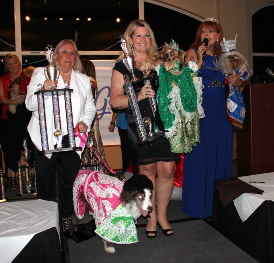 designer dog fashions big night. Doggy winners of Mr. & Miss International, Tucker and Gigi.
