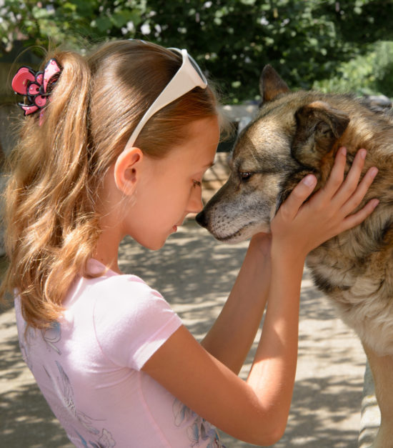 Teaching children about dogs, how to read their body language and how to behave around them will decrease dog bites, teaching lessons that last a child's lifetime.
