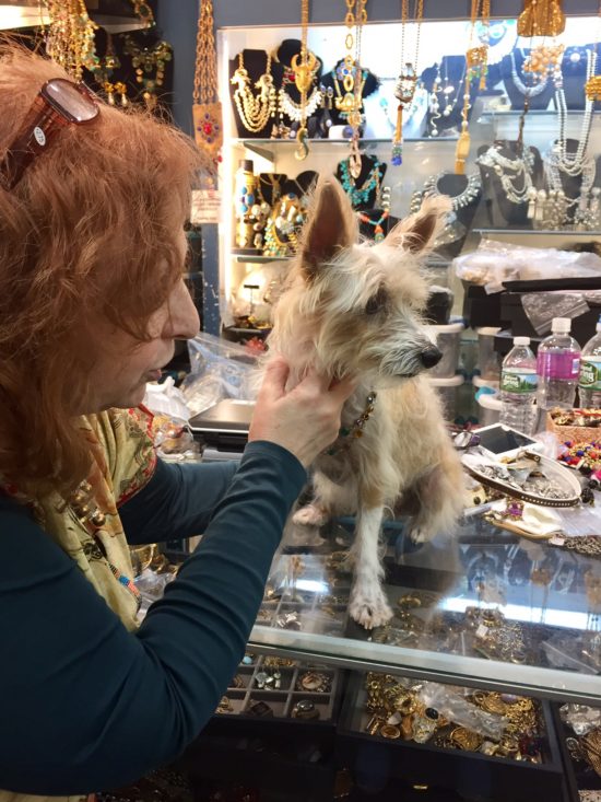 traveling to New York City with a dog; Sophie's adventures at a vintage jewelry shop.