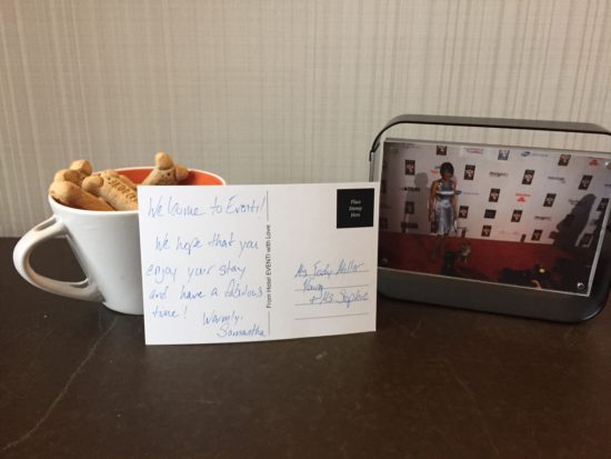 Traveling to New York City with a dog; our dog friendly room treats.