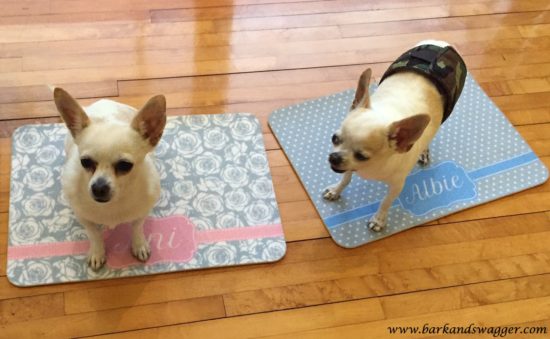 pet mats for meal time-Ani and Albie with their monogrammed mats