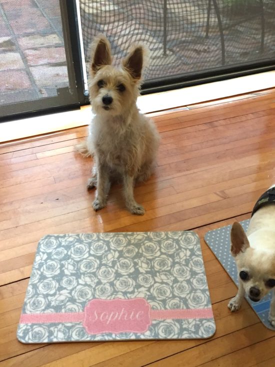pet mats for meal time-Sophie with her monogrammed mat