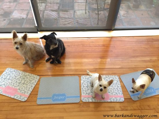 pet mats for meal time-all of my four dogs with their monogrammed mats