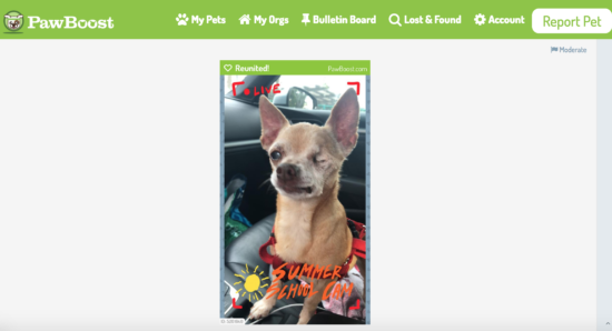 Lost senior dog, Charlie, was posted on Pawboost by his distraught mom. 