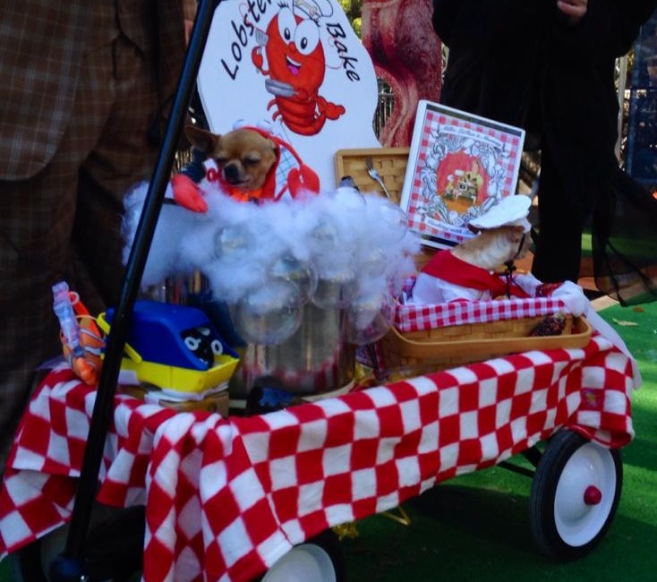 best dog halloween costumes, tompkins square park halloween dog parade, halloween dog contests