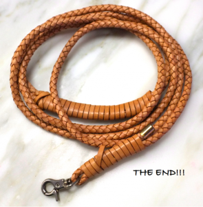 DIY dog leash, homemade dog leash