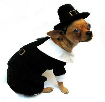 holiday dog outfits, thanksgiving dog outfits, dog costumes