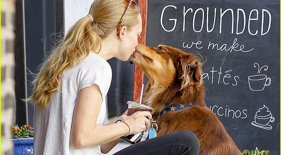 Amanda Seyfried & Finn-Amazing Tricks-Bark and Swagger