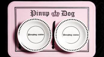 doggie dinnerware at Bark and Swagger