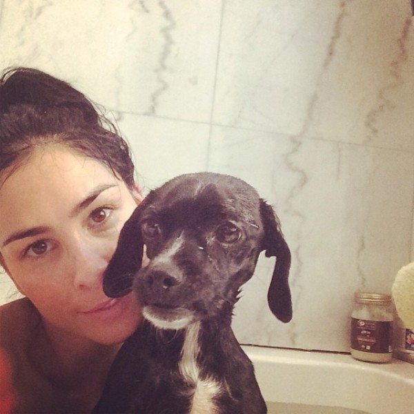 The Celebrity Spot: Sarah Silverman's New Dog, Mary - Bark and Swagger