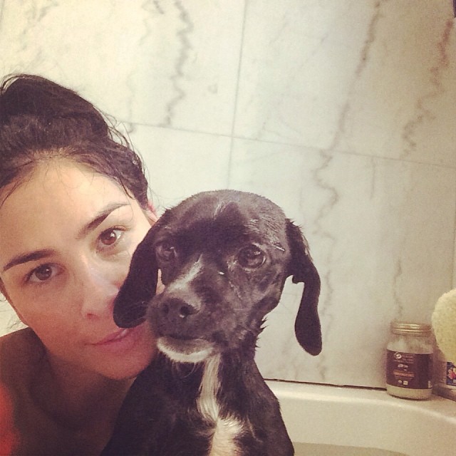 Sarah Silverman w/her new dog Mary on Bark and Swagger