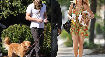 Celebrity dogs of Ryan Reynolds and Blake Lively on Bark and Swagger