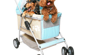 dog strollers where & when on Bark and Swagger