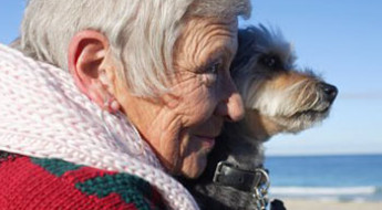 adopt a senior dog on Bark and Swagger