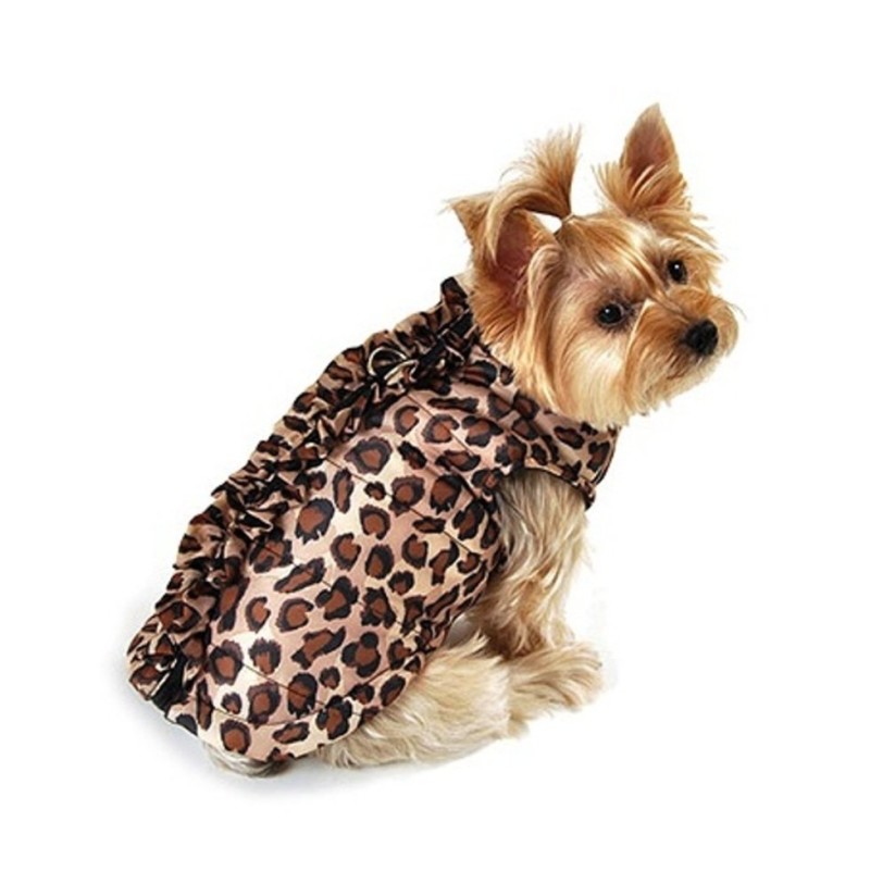 Bomber Jackets for DogsOn Trend For Spring on Bark and Swagger Bark and Swagger