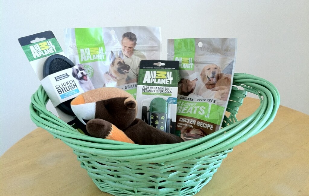 Treats and toys in Animal Planets Easter Basket giveaway on Bark and Swagger