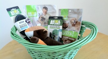 Treats and toys in Animal Planets Easter Basket giveaway on Bark and Swagger