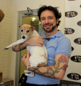 DIY Dog Grooming by celebrity groomer Jorge Bendersky on Bark and Swagger