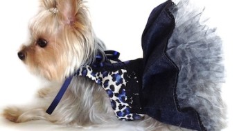 Diamonds in the Ruff Ruff custom dog apparel, beds and accessories on Bark and Swagger