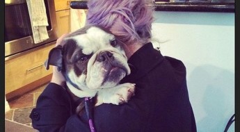 Kelly Osbourne's Dog Story on Bark and Swagger