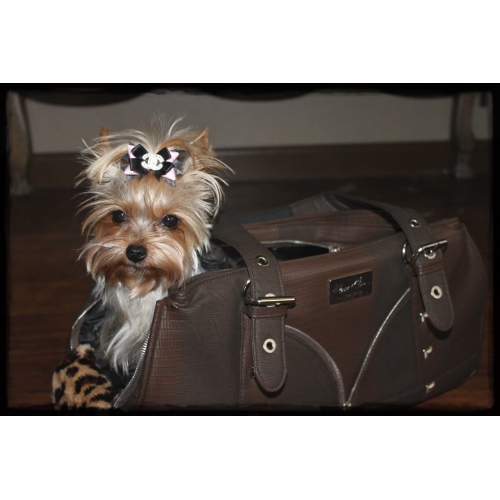 Distinctive Designer Dog Bags & More: Hollywood Actor Jeanne Chinn's JCLA  Boutique - Bark and Swagger