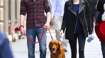 Andrew Garfield & Emma Stone and their dog Ren on Bark and Swagger