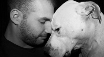 Adopt a Pit Bull on Bark and Swagger