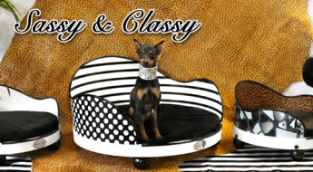 Interchangeable parts pet beds; art meets practical on Bark and Swagger