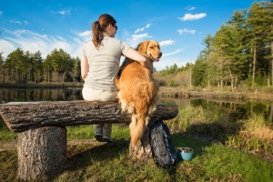 review and giveaway of book Life's A Bark: What Dogs Teach Us About Life and Love on Bark and Swagger