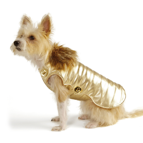Fierce fashion, fabulous stories for dog parents on BarkandSwagger.com