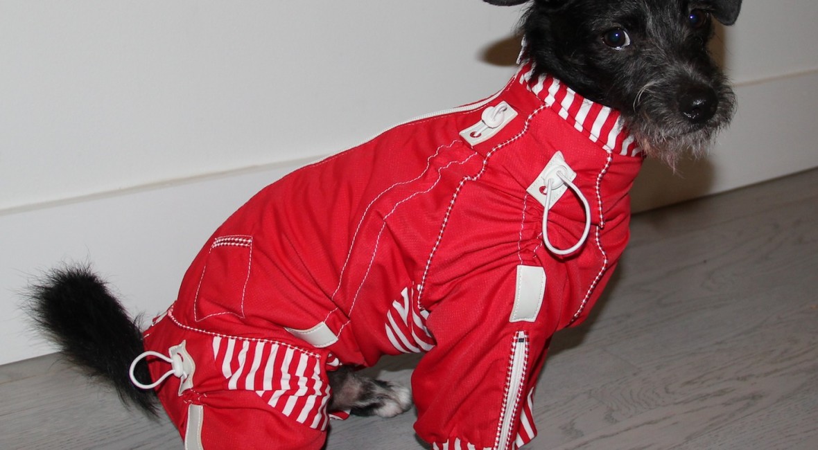 stylish full coverage body coats for dogs on Bark and Swagger