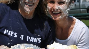 Jill Rappaport's Pies4Paws Challenge on BarkandSwagger.com