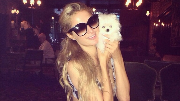 Paris Hilton got a new micro teacup Pomeranian pup named Mr. Amazing
