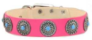 Bully breeds fashion on BarkandSwagger.com