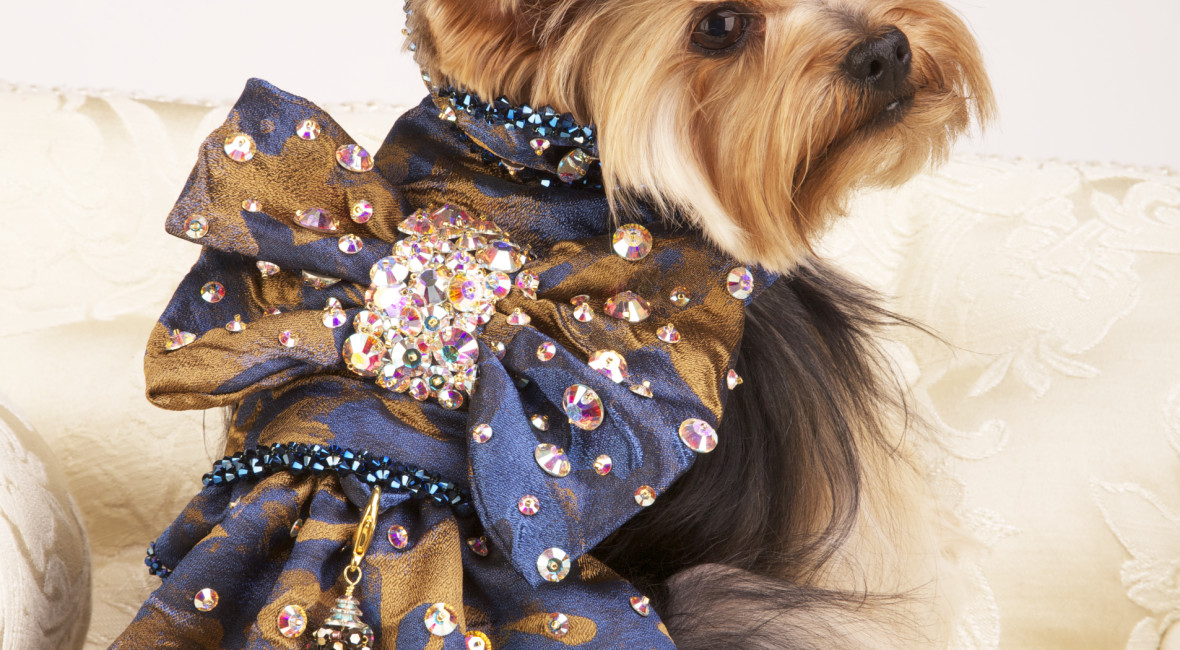 Holiday dog apparel with pizzazz on www. BarkandSwagger.com