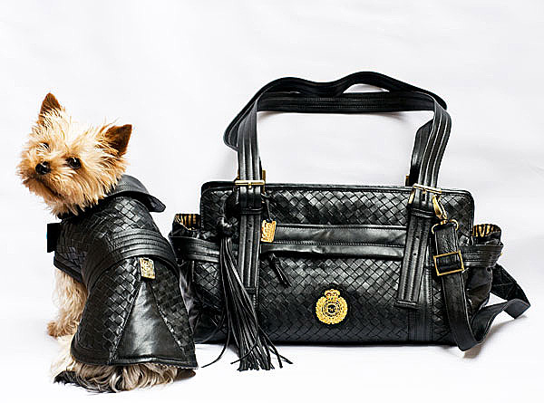 The only dog fashion brand exhibited at the Louvre in Paris. Meet the inspired Manfred of Sweden brand on www.BarkandSwagger.com