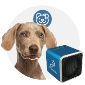 Unusual Holiday gifts for pets on www.BarkandSwagger.com