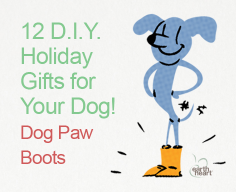 12 DIY Holiday Gifts for your Dog on www.BarkandSwagger.com
