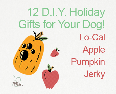 DIY Holiday Gifts for Your Dog Series-the LoCal Apple Pumpkin Jerky on www.BarkandSwagger.com