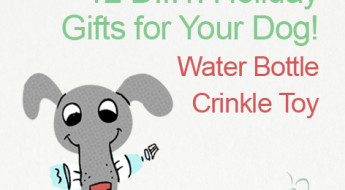 Great DIY Holiday Gifts for Your Dog on www.BarkandSwagger.com. Water bottle crinkle toy.