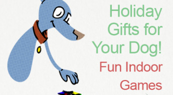 Great DIY Holiday Gifts for Your Dog-Indoor Games on www.BarkandSwagger.com